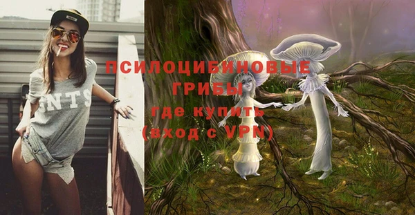 ешки Алексеевка