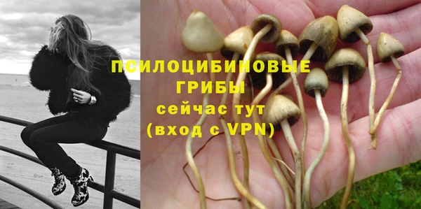 а пвп мука Козловка