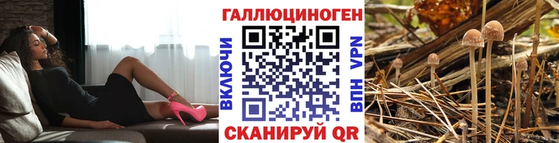 Галлюциногенные грибы GOLDEN TEACHER  Азнакаево 